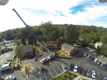 #crane-assisted-tree-removal-raleigh